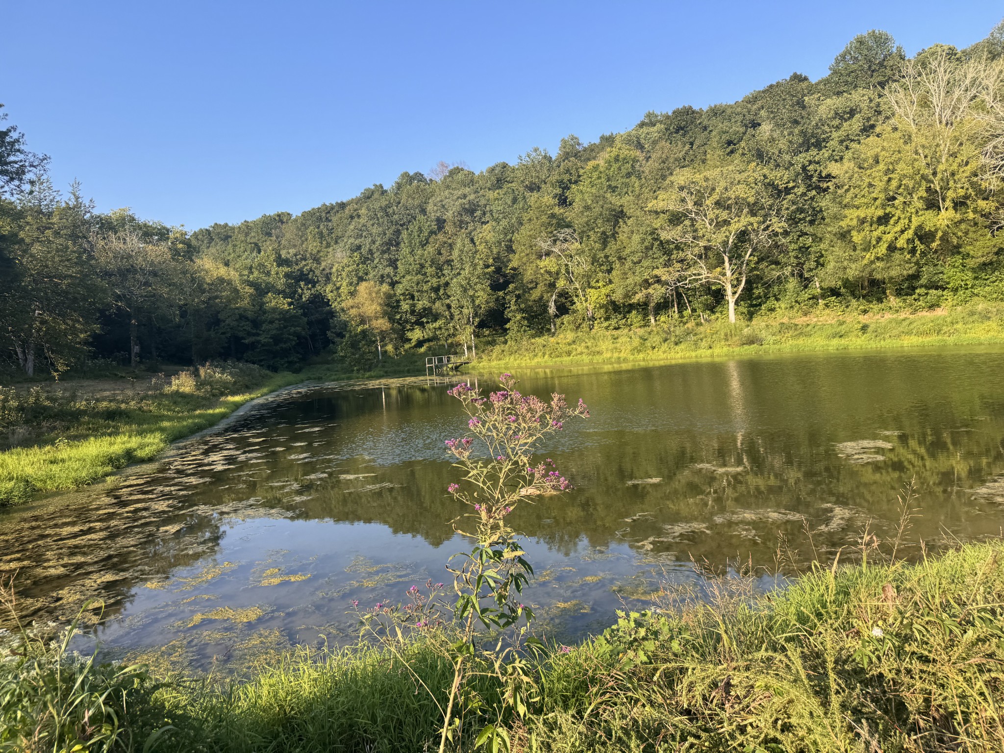 0 Lazy Branch Road Wartrace, TN 37183 - Photo 32 of 82 a view of a lake with a mountain in the background