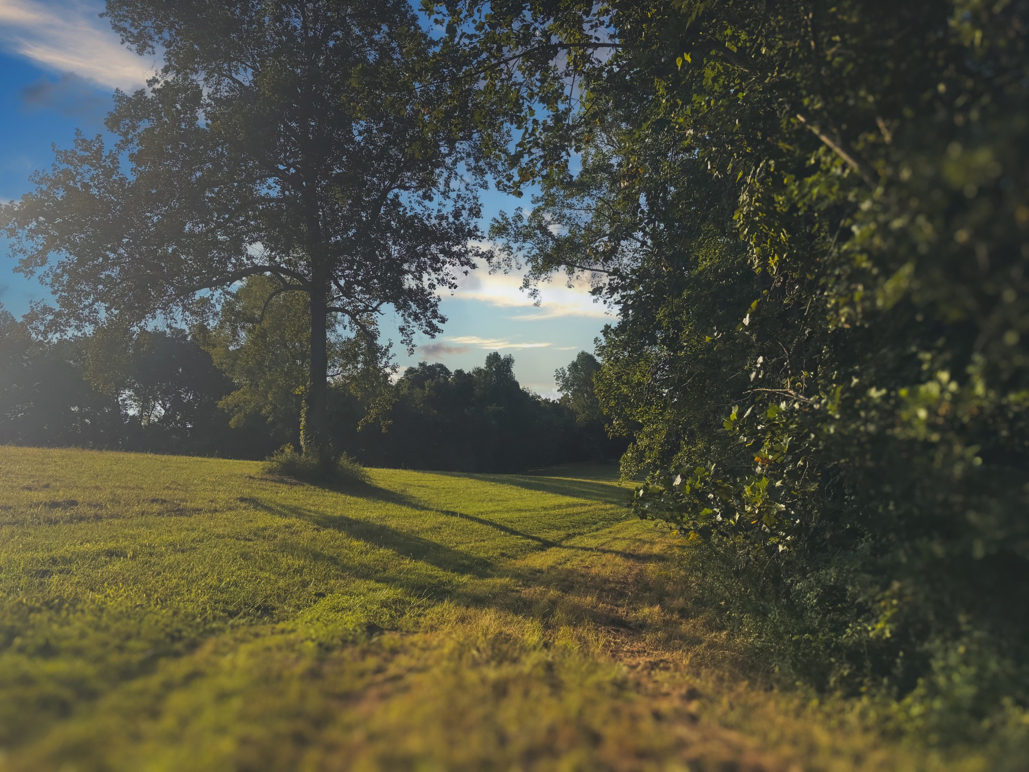0 Lazy Branch Road Wartrace, TN 37183 - Photo 33 of 82 a view of an outdoor space and yard