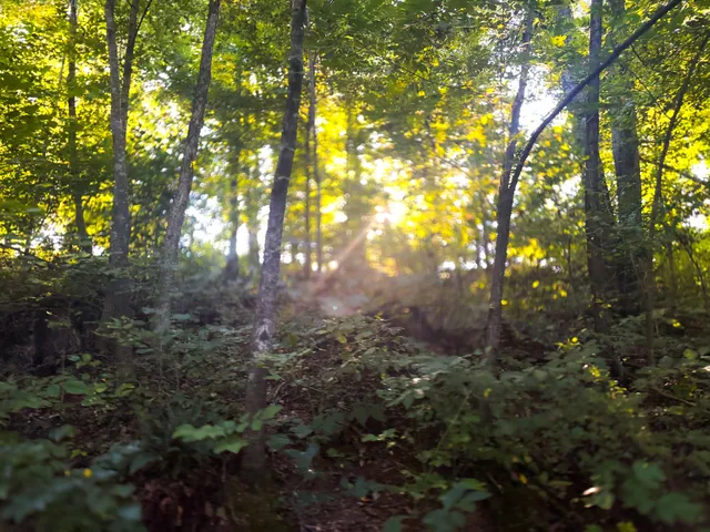 $1,750,000 | 0 Lazy Branch Road, Wartrace, TN 37183