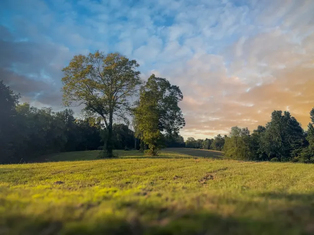 $1,750,000 | 0 Lazy Branch Road, Wartrace, TN 37183