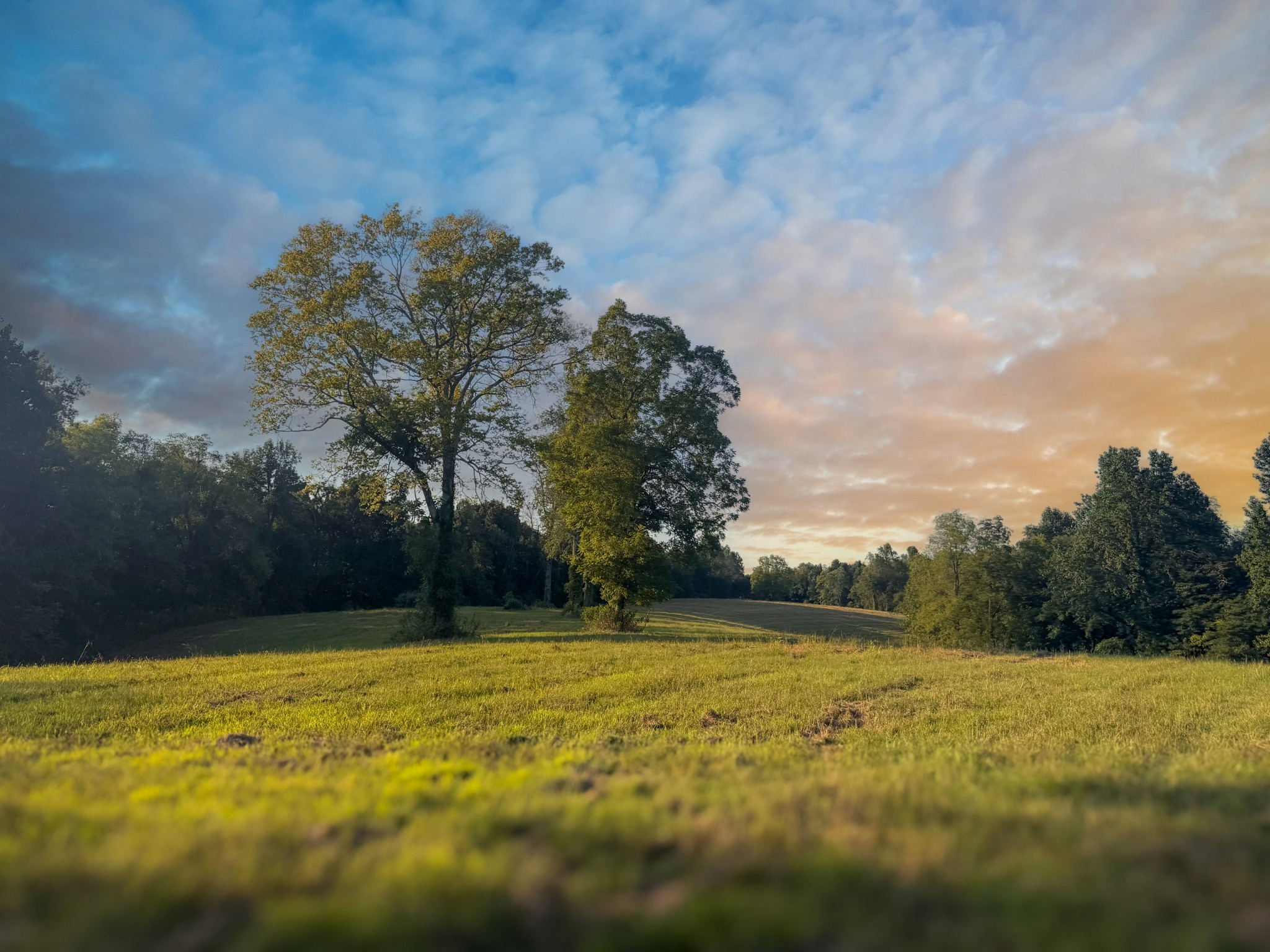 0 Lazy Branch Road Wartrace, TN 37183 - Photo 35 of 82 a view of yard with swimming pool and trees in the background