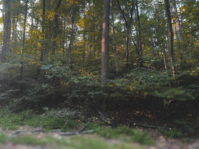 $1,750,000 | 0 Lazy Branch Road, Wartrace, TN 37183