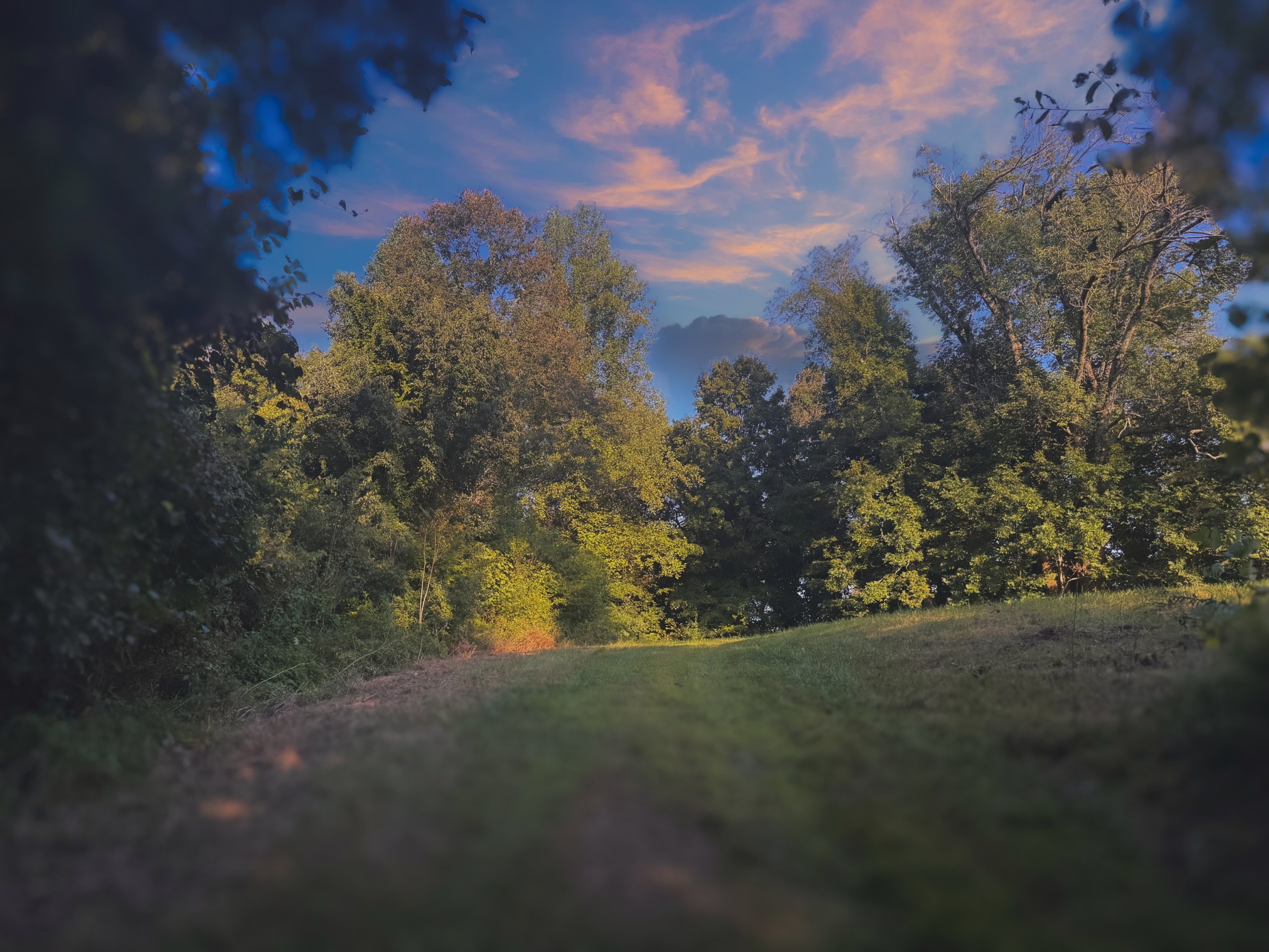 0 Lazy Branch Road Wartrace, TN 37183 - Photo 37 of 82 a view of outdoor space and yard