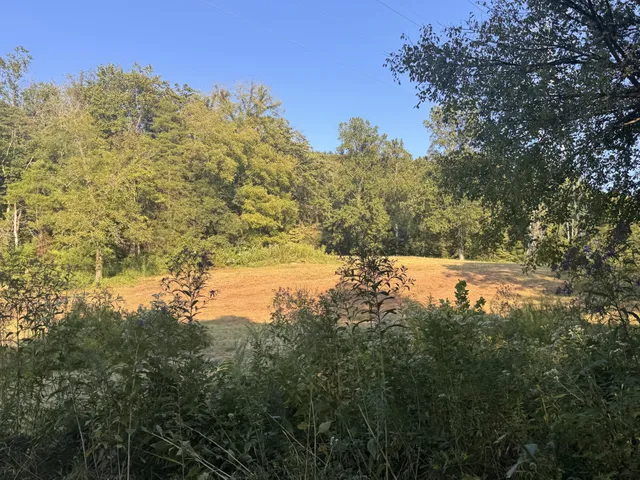 $1,750,000 | 0 Lazy Branch Road, Wartrace, TN 37183