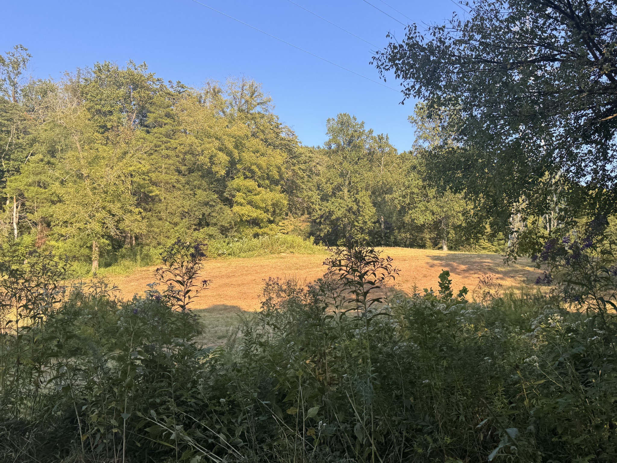 0 Lazy Branch Road Wartrace, TN 37183 - Photo 38 of 82