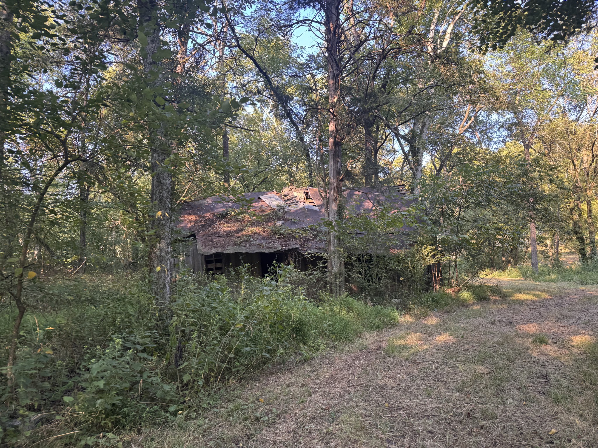 0 Lazy Branch Road Wartrace, TN 37183 - Photo 40 of 82 a view of a forest filled with trees