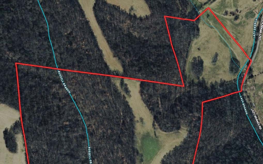 0 Lazy Branch Road Wartrace, TN 37183 - Photo 44 of 82