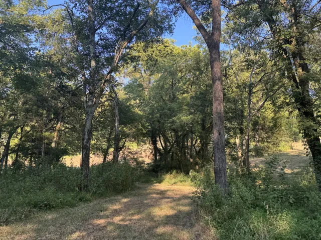 $1,750,000 | 0 Lazy Branch Road, Wartrace, TN 37183