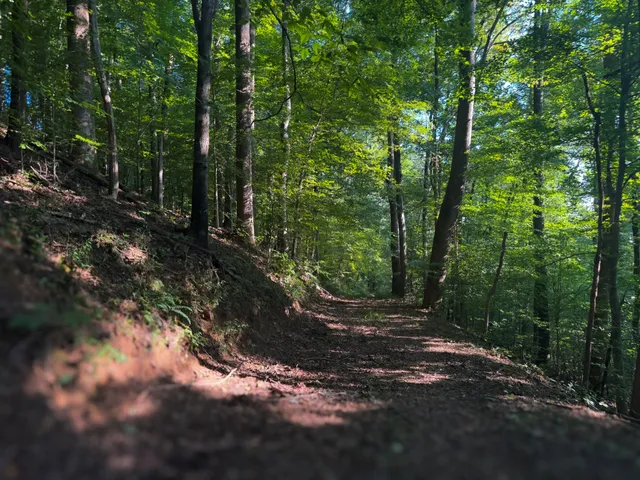 $1,750,000 | 0 Lazy Branch Road, Wartrace, TN 37183