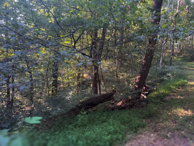 $1,750,000 | 0 Lazy Branch Road, Wartrace, TN 37183