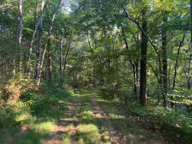 $1,750,000 | 0 Lazy Branch Road, Wartrace, TN 37183