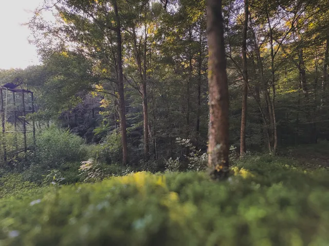 $1,750,000 | 0 Lazy Branch Road, Wartrace, TN 37183