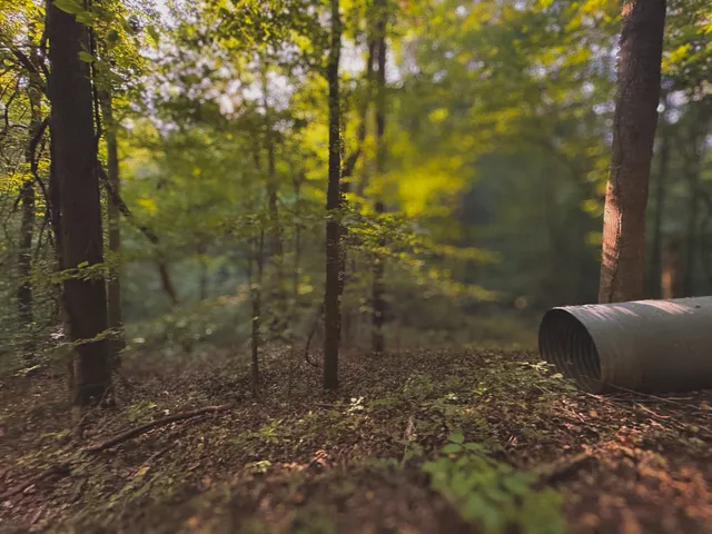 $1,750,000 | 0 Lazy Branch Road, Wartrace, TN 37183