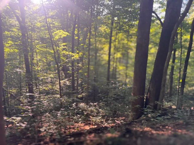 $1,750,000 | 0 Lazy Branch Road, Wartrace, TN 37183