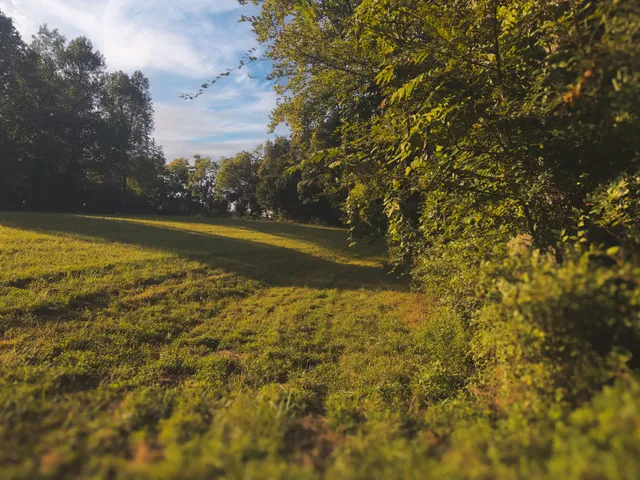 $1,750,000 | 0 Lazy Branch Road, Wartrace, TN 37183