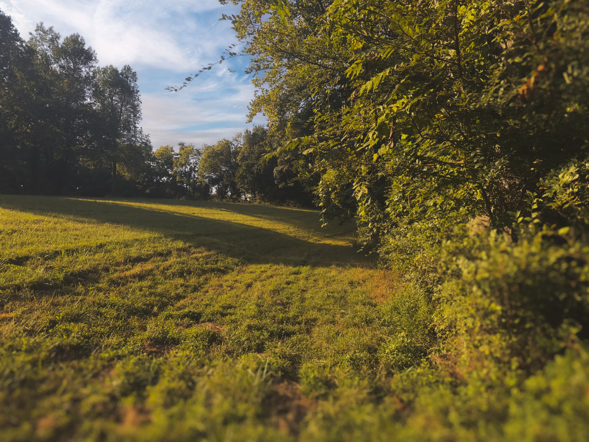 0 Lazy Branch Road Wartrace, TN 37183 - Photo 60 of 82 a view of an ocean and trees