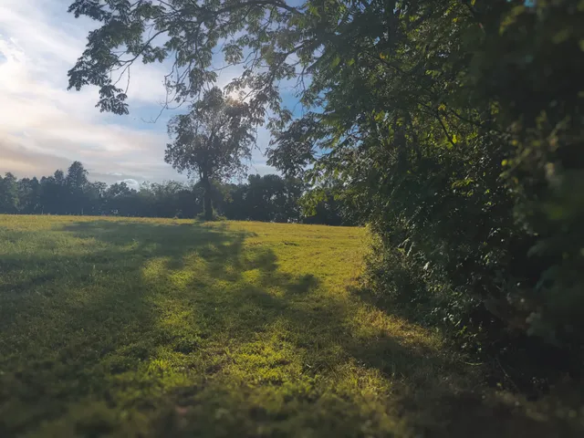 $1,750,000 | 0 Lazy Branch Road, Wartrace, TN 37183