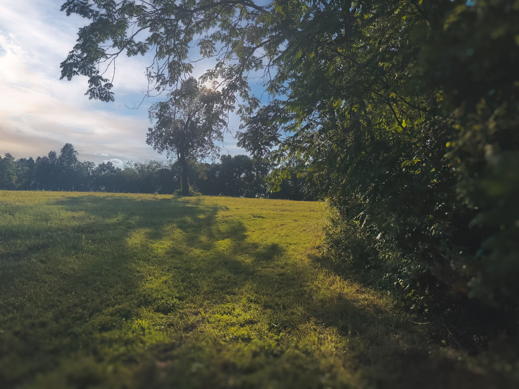 0 Lazy Branch Road Wartrace, TN 37183 - Photo 61 of 82