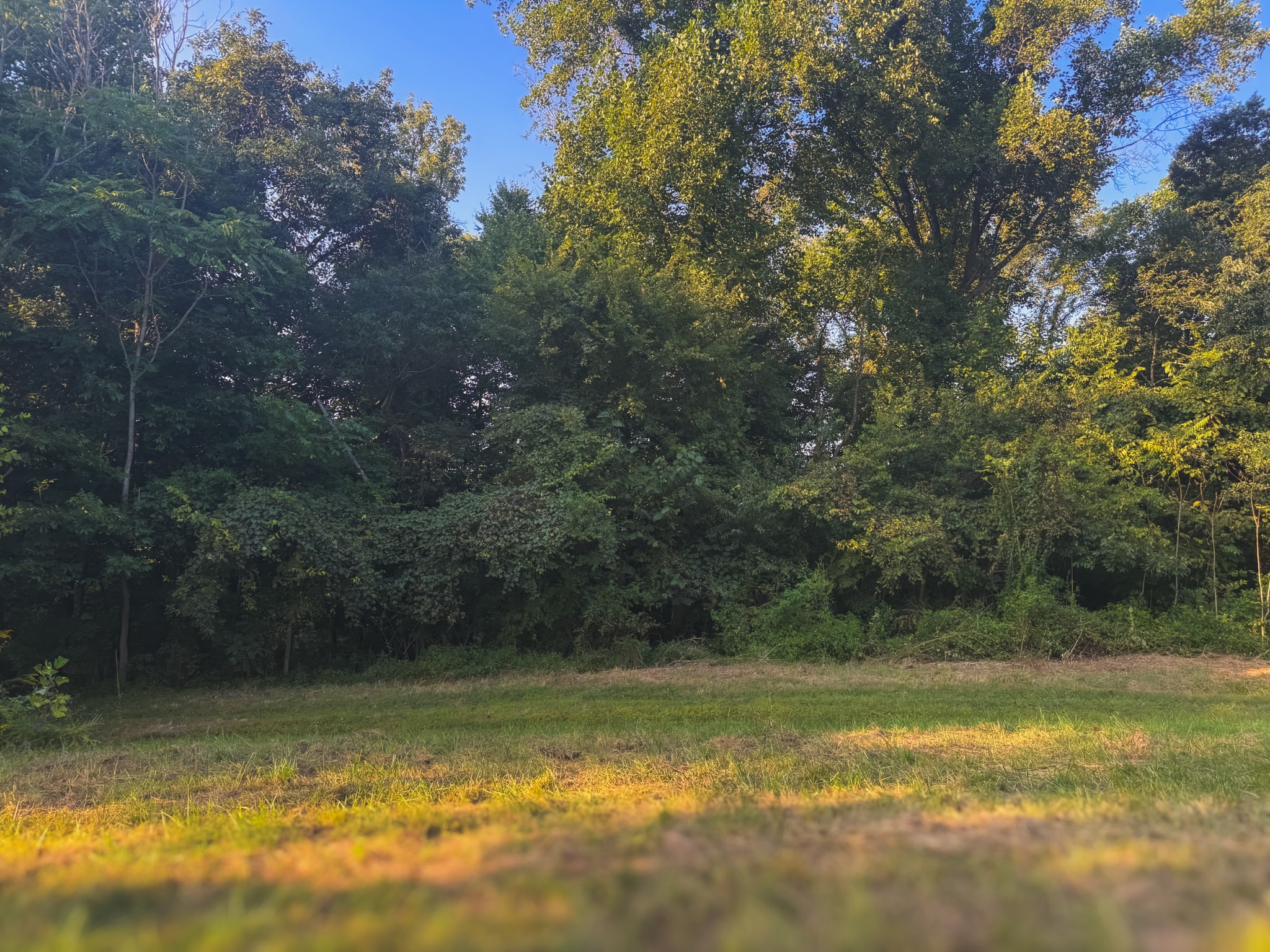 0 Lazy Branch Road Wartrace, TN 37183 - Photo 62 of 82