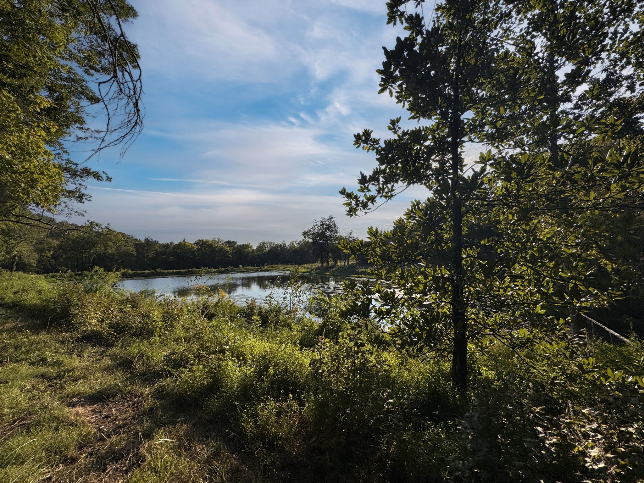 0 Lazy Branch Road Wartrace, TN 37183 - Photo 63 of 82