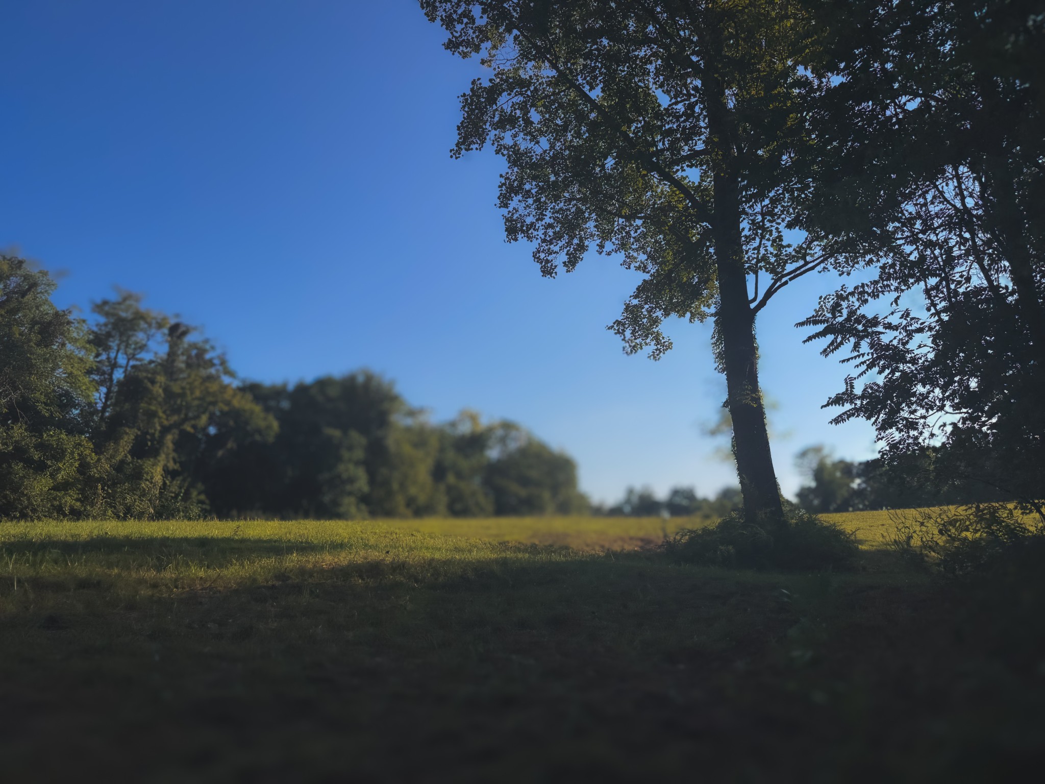 0 Lazy Branch Road Wartrace, TN 37183 - Photo 64 of 82