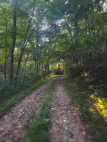 $1,750,000 | 0 Lazy Branch Road, Wartrace, TN 37183