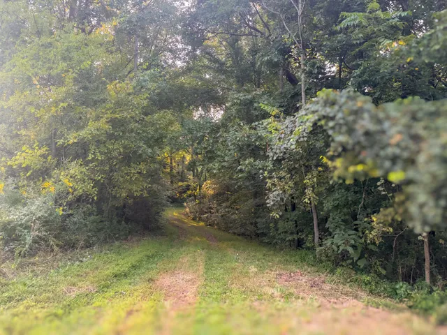 $1,750,000 | 0 Lazy Branch Road, Wartrace, TN 37183