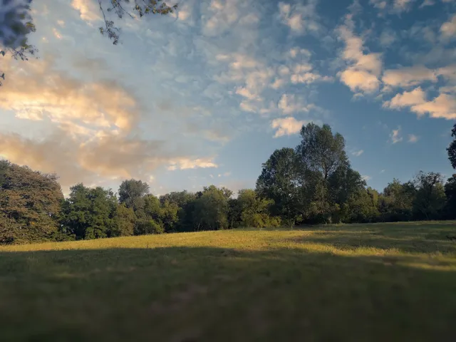 $1,750,000 | 0 Lazy Branch Road, Wartrace, TN 37183