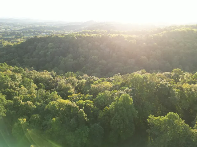 an aerial view of a garden