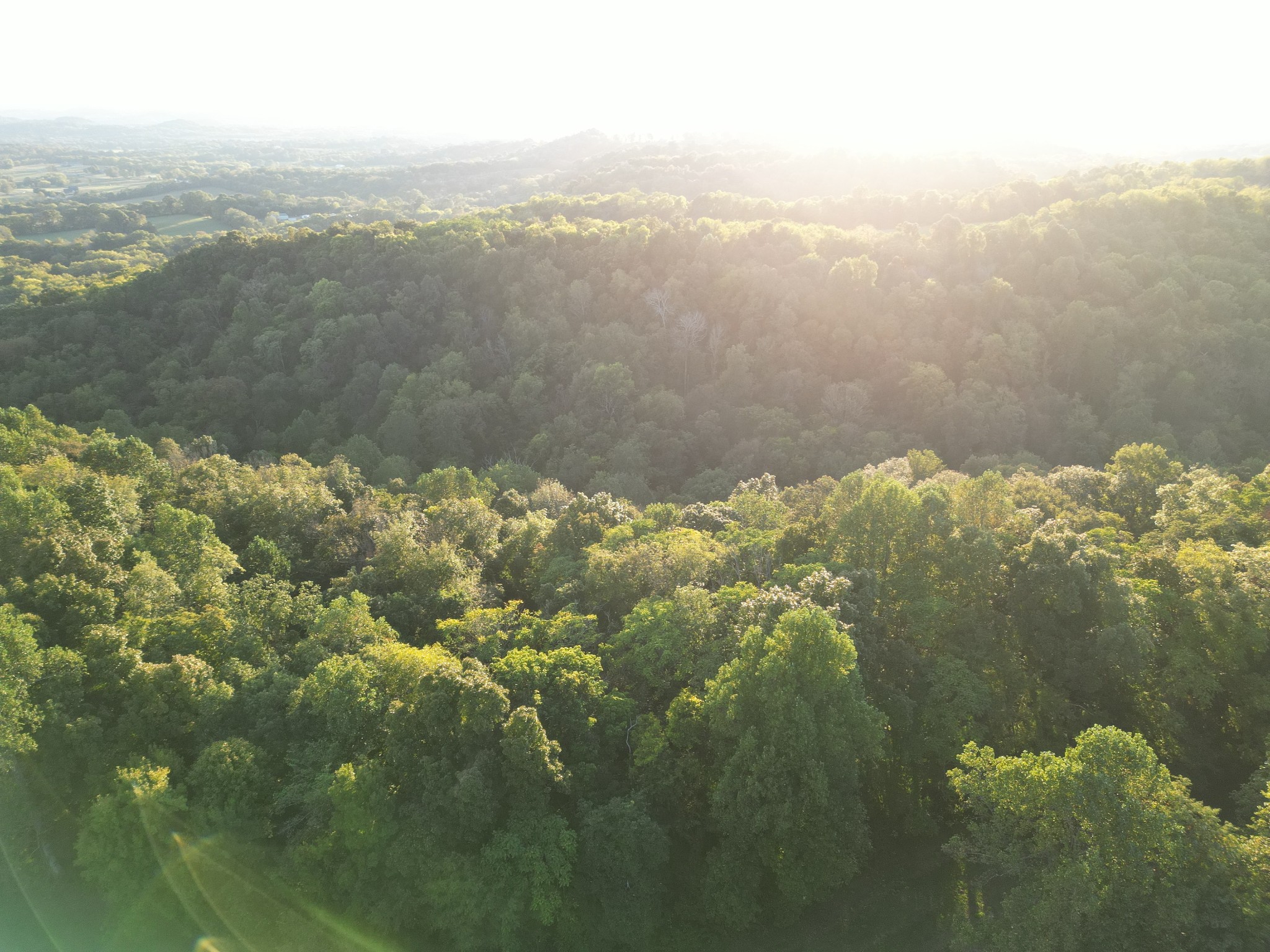 0 Lazy Branch Road Wartrace, TN 37183 - Photo 7 of 82