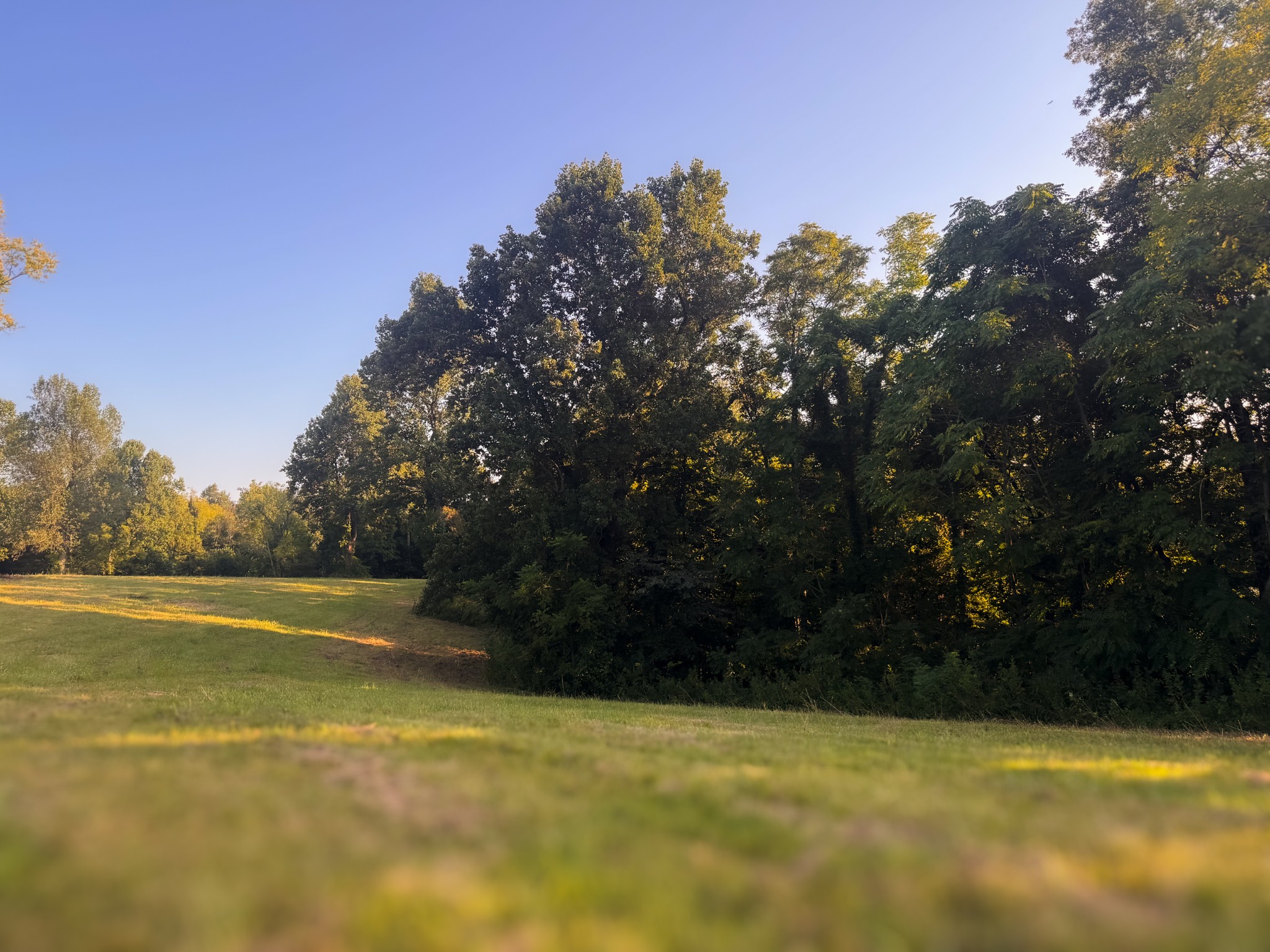 0 Lazy Branch Road Wartrace, TN 37183 - Photo 71 of 82