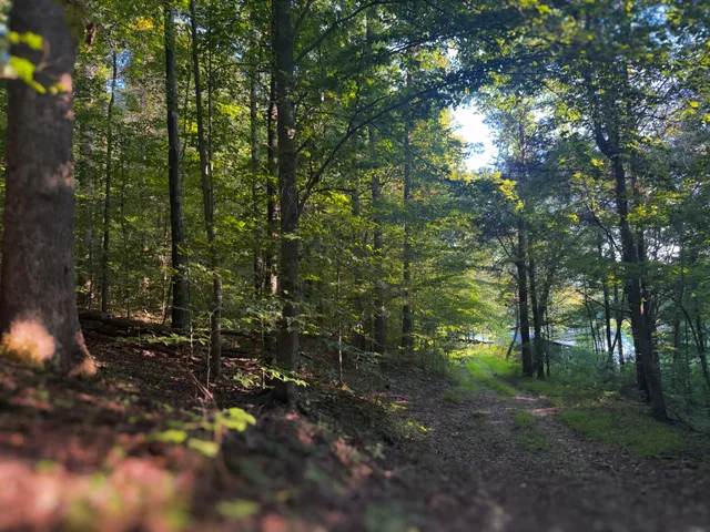 $1,750,000 | 0 Lazy Branch Road, Wartrace, TN 37183