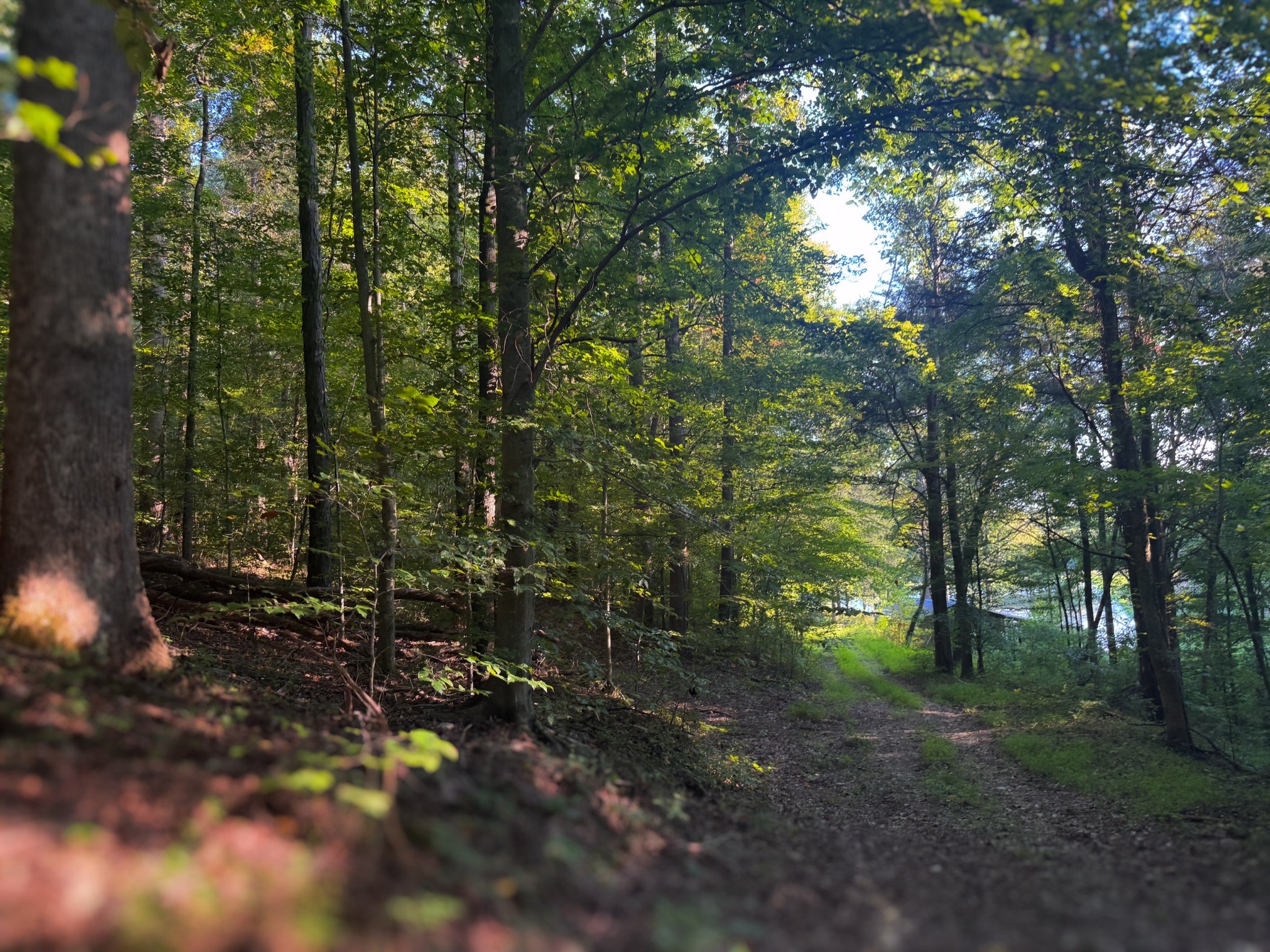 0 Lazy Branch Road Wartrace, TN 37183 - Photo 73 of 82