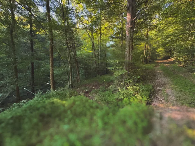 $1,750,000 | 0 Lazy Branch Road, Wartrace, TN 37183