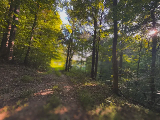 $1,750,000 | 0 Lazy Branch Road, Wartrace, TN 37183