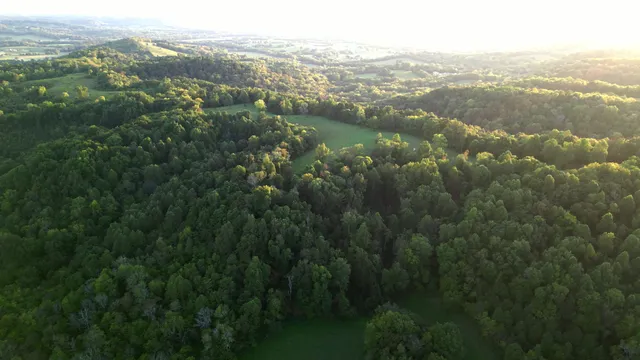 $1,750,000 | 0 Lazy Branch Road, Wartrace, TN 37183