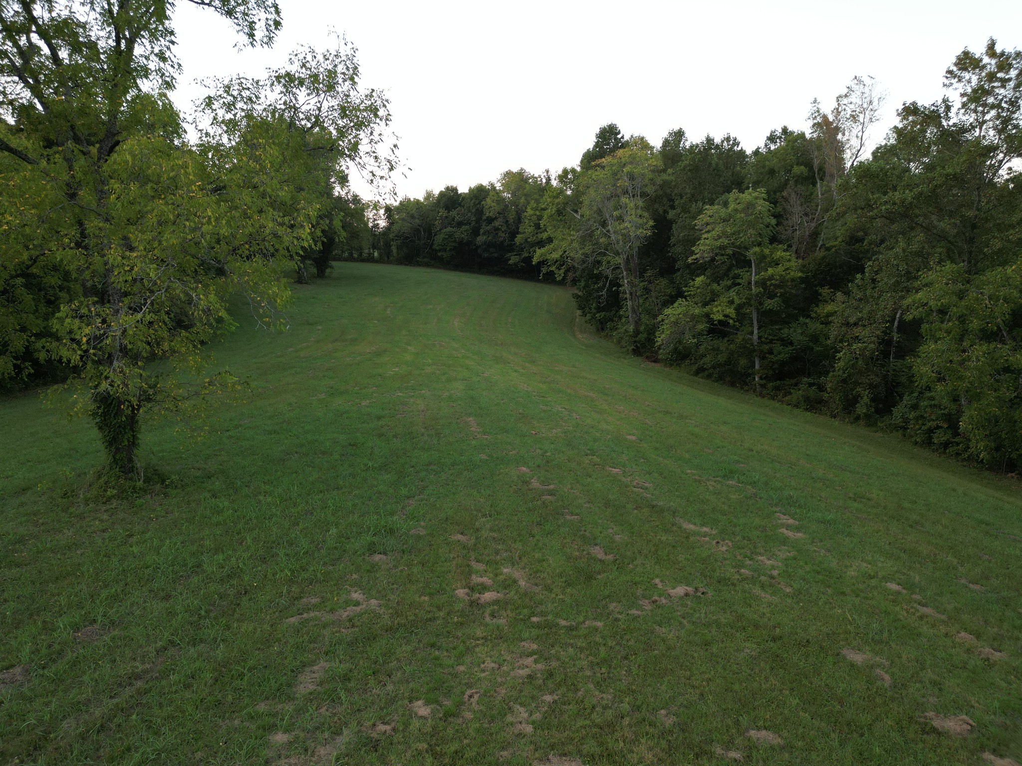 0 Lazy Branch Road Wartrace, TN 37183 - Photo 82 of 82