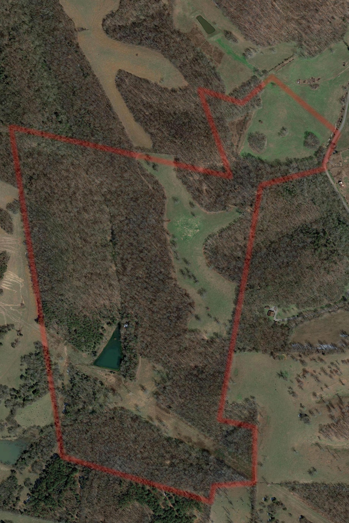 0 Lazy Branch Road Wartrace, TN 37183 - Photo 9 of 82