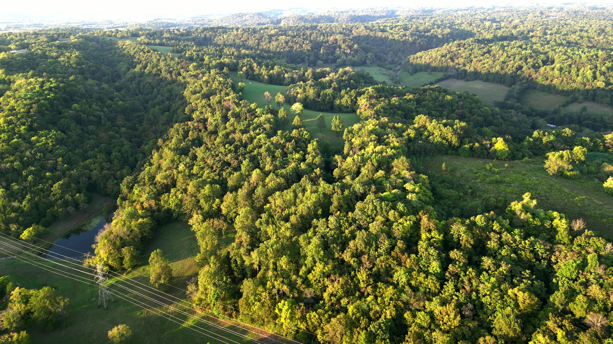 0 Lazy Branch Road Wartrace, TN 37183 - Photo 10 of 82