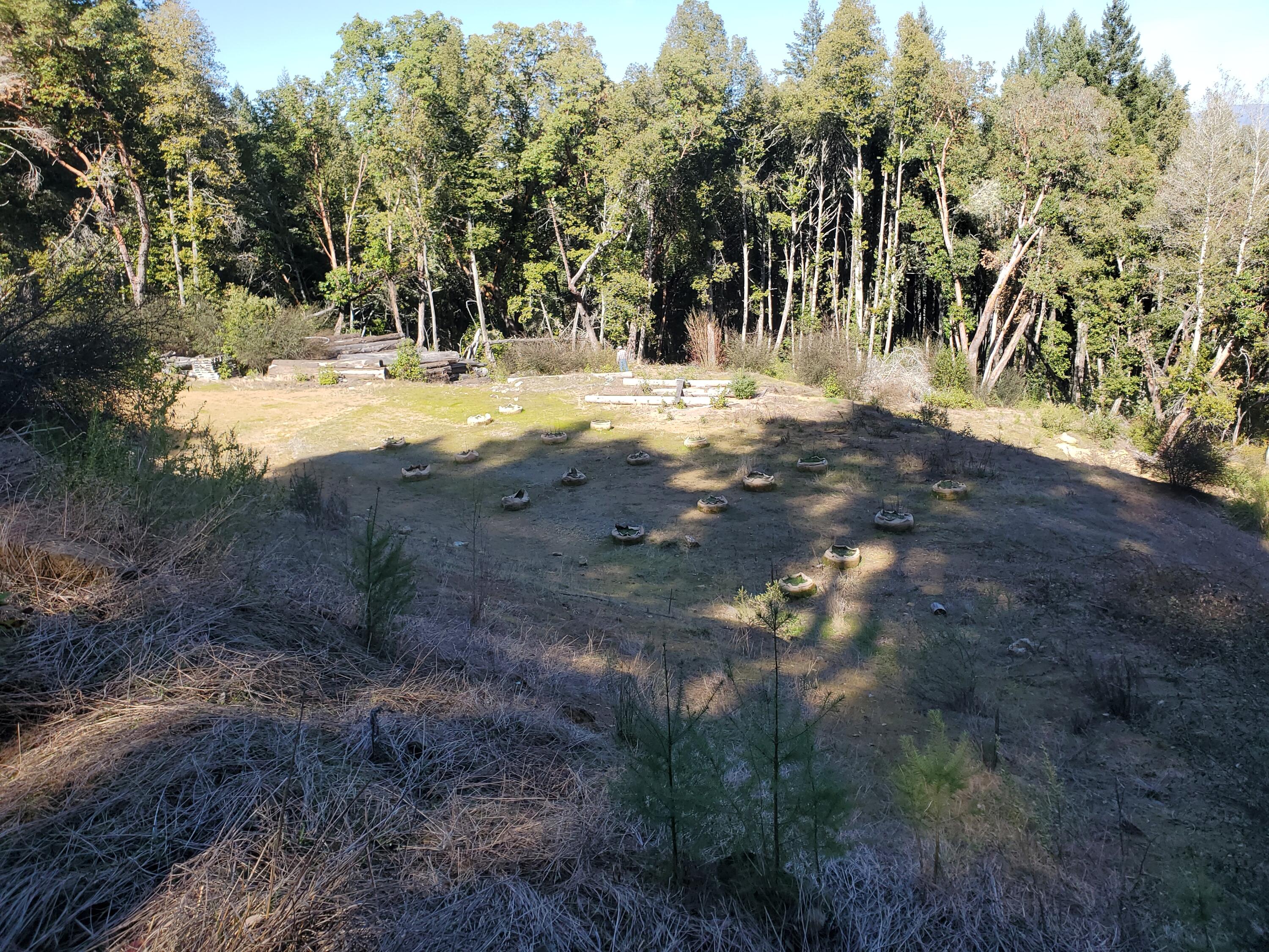 700 Willow Road Alderpoint, CA 95511 - Photo 10 of 19