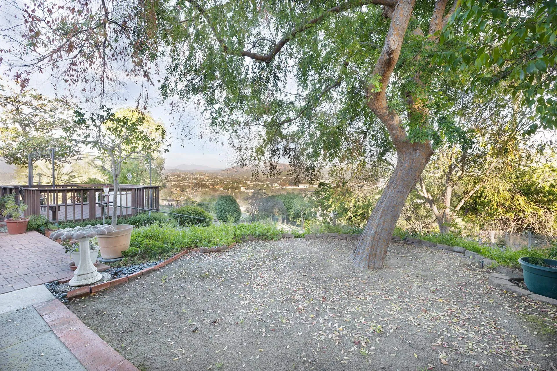 12455 Ridgeton Drive Lakeside, CA 92040 - Photo 24 of 31 a view of a yard with plants and a large tree