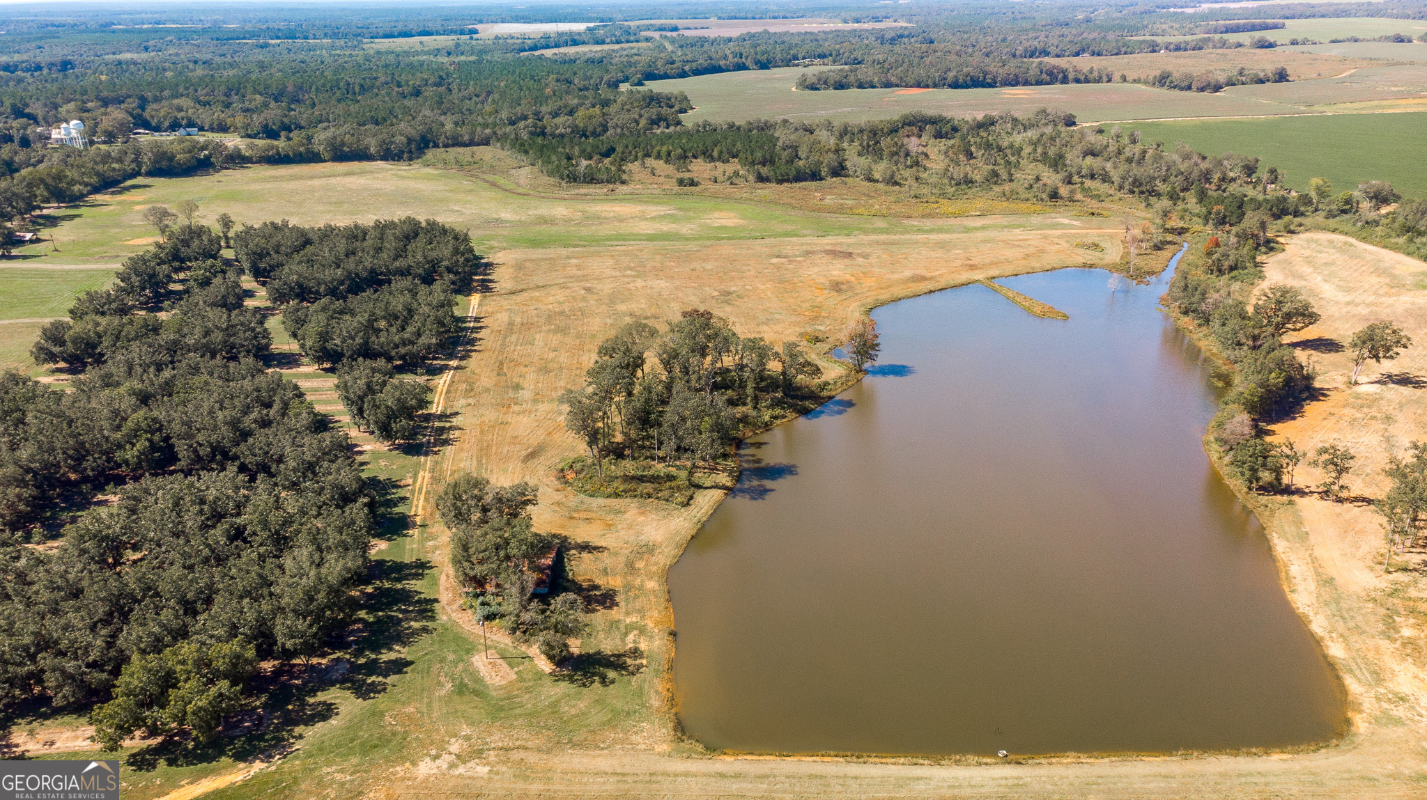 318 Church Street Parrott, GA 39877 - Photo 14 of 19