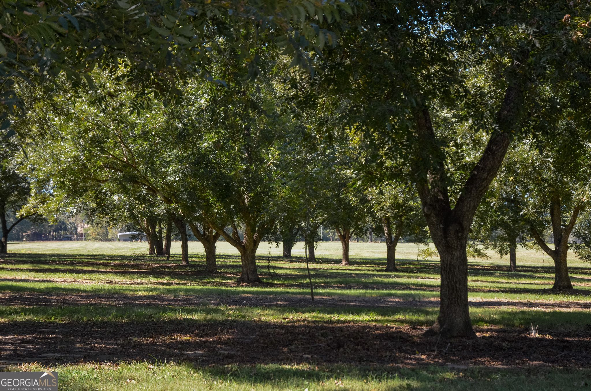 318 Church Street Parrott, GA 39877 - Photo 18 of 19