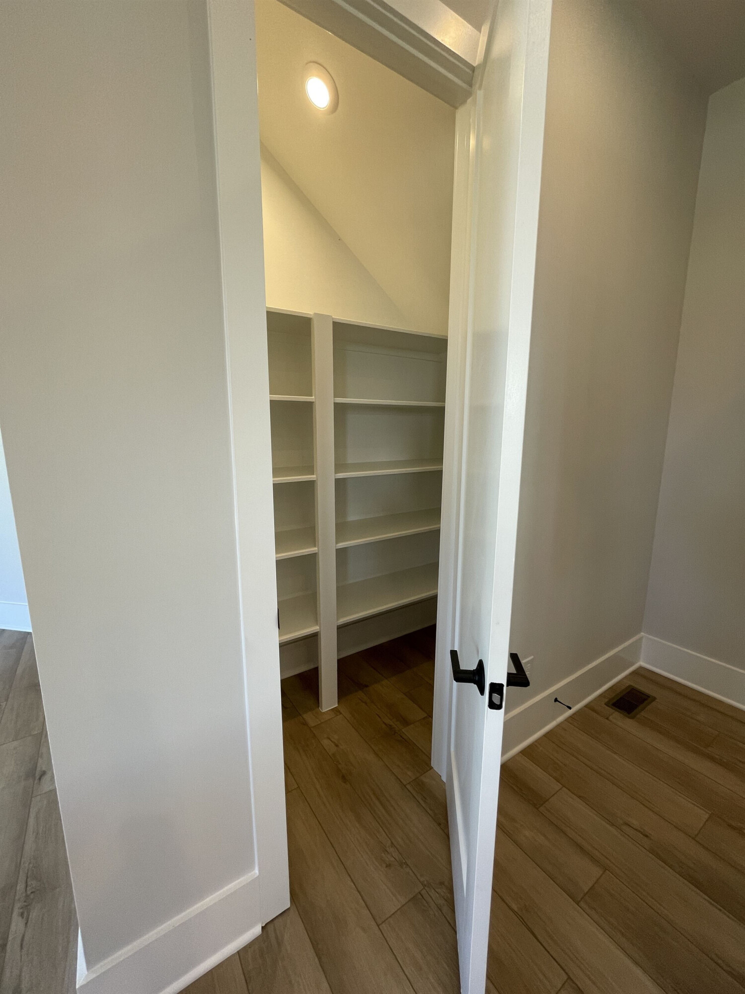 4416 Bridle Run Drive Raleigh, NC 27606 - Photo 14 of 43 Large Pantry with built ins