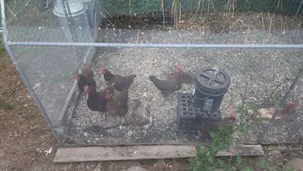 $1,499,900 | 925 14th Street, Cloquet, MN 55720