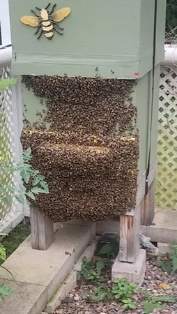 $1,499,900 | 925 14th Street, Cloquet, MN 55720