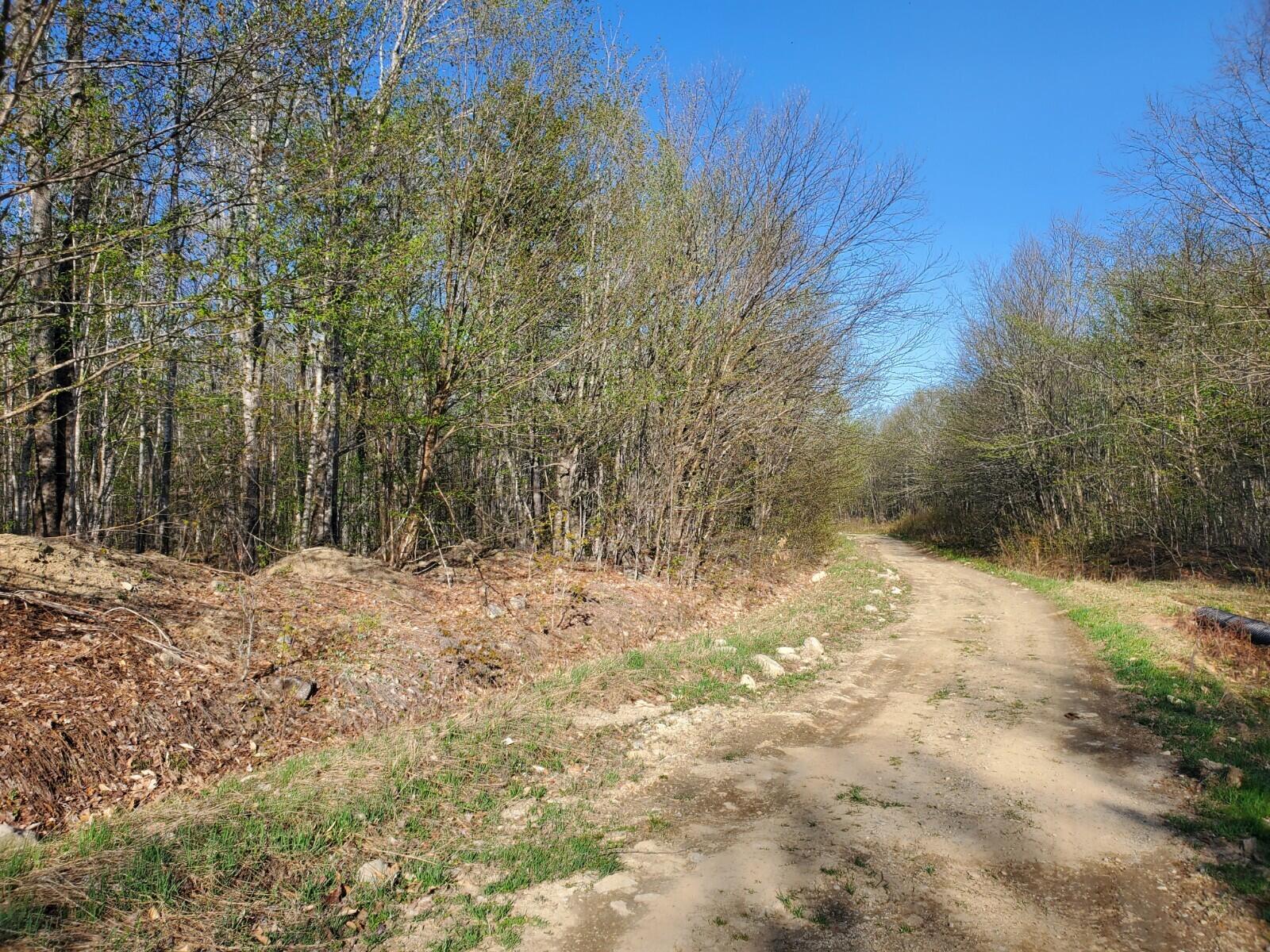 Lot F Fire Road Houlton, ME 04730 - Photo 3 of 6 20220513_171005