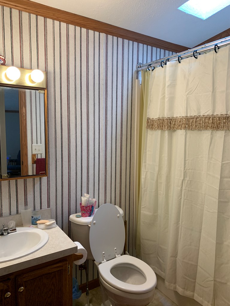 3870 Georgetown Road Polk, PA 16342 - Photo 38 of 42 a bathroom with a sink a toilet and shower curtain