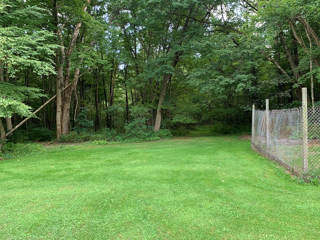 3870 Georgetown Road Polk, PA 16342 - Photo 10 of 42 a view of a backyard