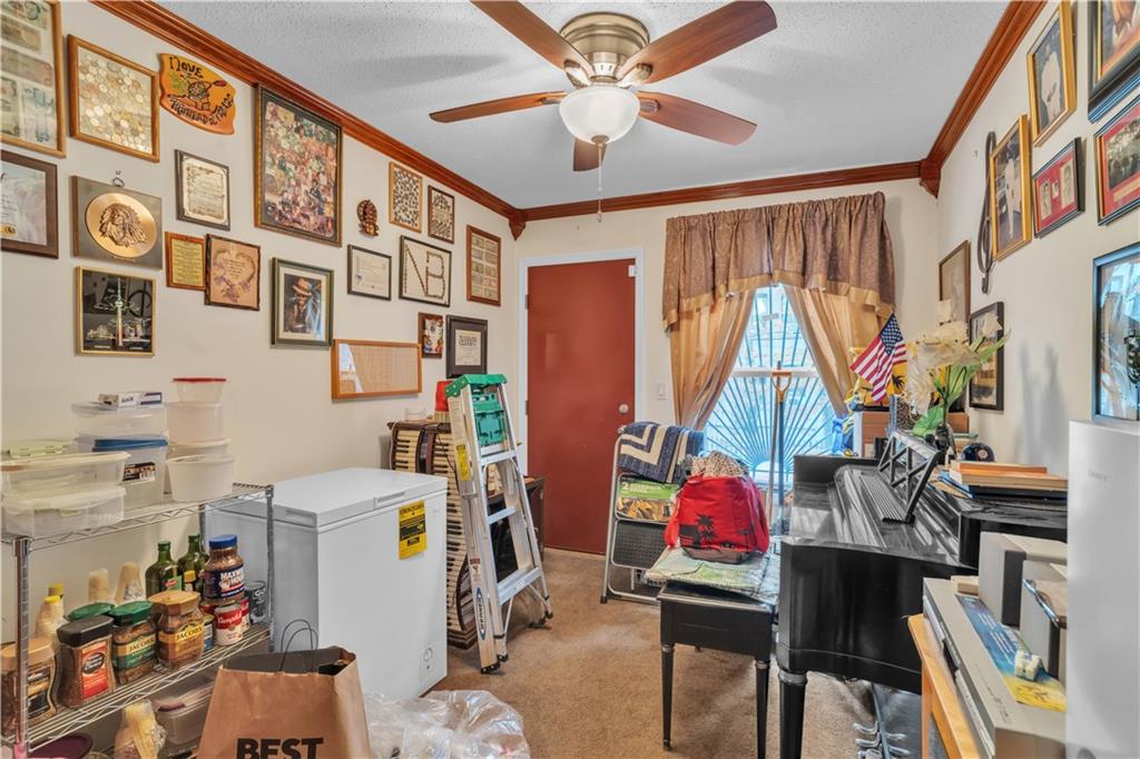 221 MacDougal Street Brooklyn, NY 11233 - Photo 4 of 23 a living room with furniture and a large window
